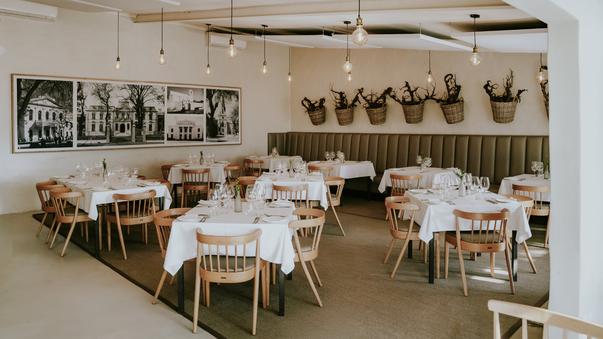 Woodbender Riga Dining Chair at Stellenbosch Reserve